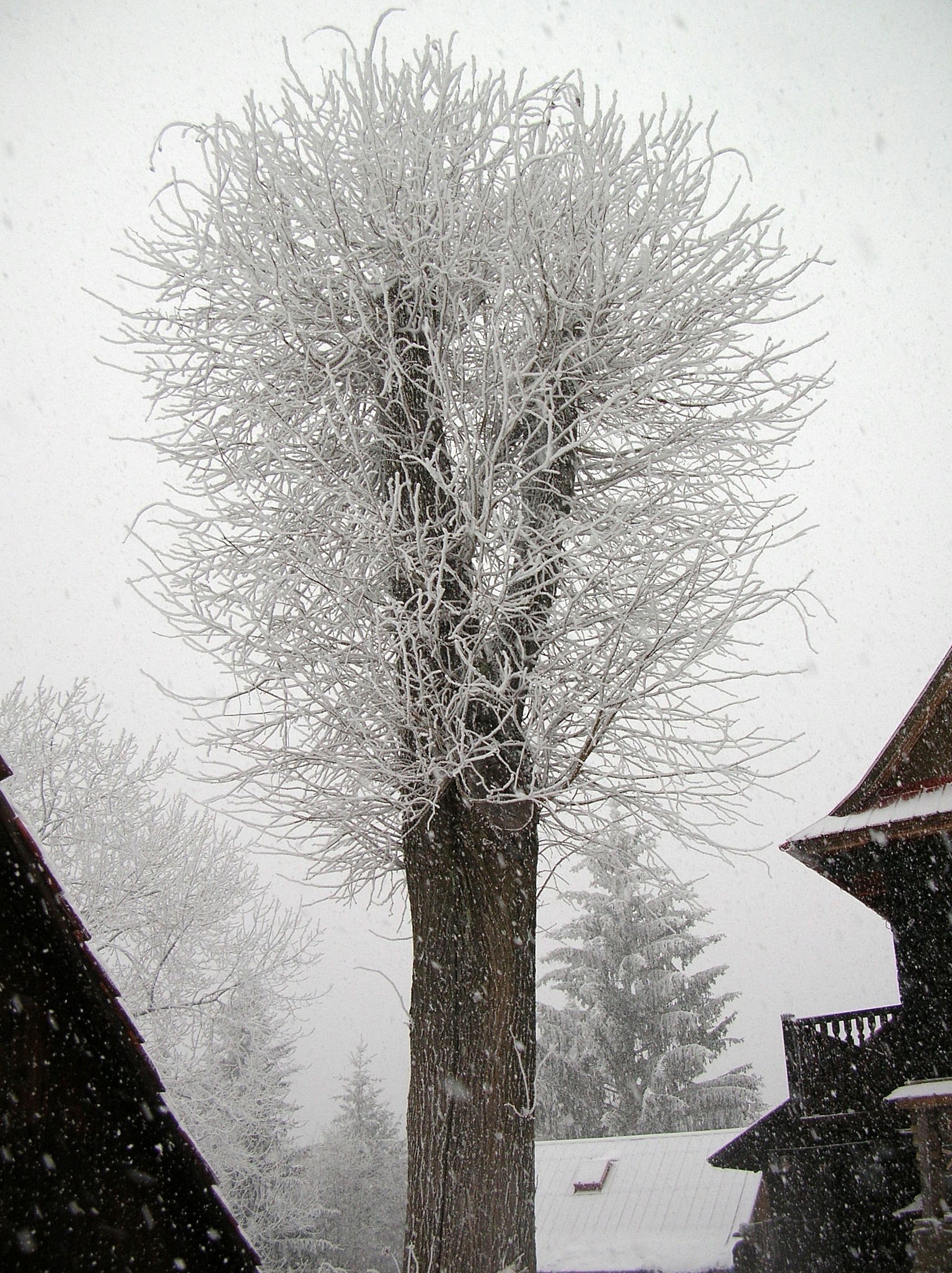 dscn3069